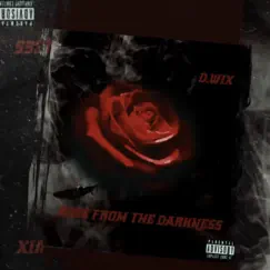 Rose From the Darkness Song Lyrics