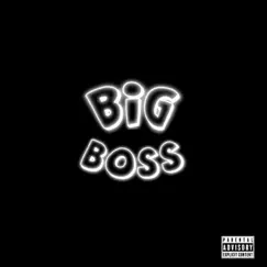 Big Boss - Single by KaN9ne album reviews, ratings, credits