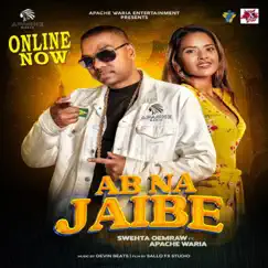 Ab Na Jaibe Song Lyrics