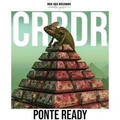 Ponte Ready - Single by CRRDR album reviews, ratings, credits