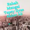 Rabab Mangai Tapey Ilyas Akber Ali (feat. Akber Ali) - EP album lyrics, reviews, download