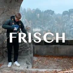 Frisch - Single by Gustav & 01099 album reviews, ratings, credits