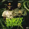 Snakes Around Me (feat. BHM Facts) - Single album lyrics, reviews, download