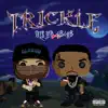 Trickle - Single album lyrics, reviews, download