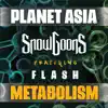 Metabolism (feat. Flash) - Single album lyrics, reviews, download
