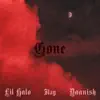 Gone (feat. Kay) - Single album lyrics, reviews, download