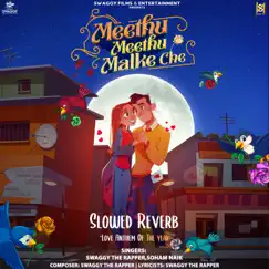 Meethu Meethu Malke Che (Slowed+Reverb) - Single by Swaggy The Rapper & Soham Naik album reviews, ratings, credits