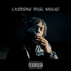 Exposing These N****z - Single by MacDaKid album reviews, ratings, credits