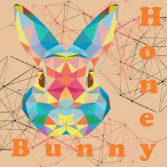 Drive by Honey Bunny & Techno Mama album reviews, ratings, credits