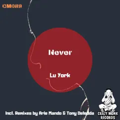 Never - Single by Lu York, Arie Mando & Tony Deledda album reviews, ratings, credits
