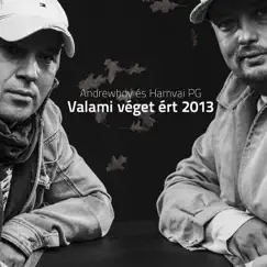 Valami véget ért 2013 - Single by Andrewboy & Hamvai PG album reviews, ratings, credits