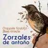 Zorzales de Antaño - Orquesta Rodolfo Biagi - Griseta album lyrics, reviews, download