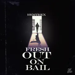 Fresh Out On Bail - Single by Remtrex album reviews, ratings, credits