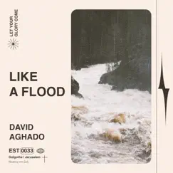 Like a Flood (feat. Jasmin Hale) Song Lyrics