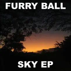 Sky - Single by Furry Ball album reviews, ratings, credits