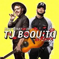 Tu Boquita (Remix) - Single by Dani Senay & DCS album reviews, ratings, credits