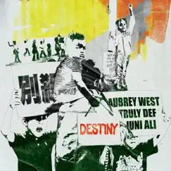 Destiny (feat. Juni Ali) Song Lyrics