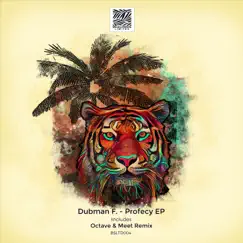 Prophecy - Single by Dubman F album reviews, ratings, credits