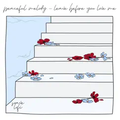 Leave Before You Love Me - Single by Peaceful Melody & soave lofi album reviews, ratings, credits