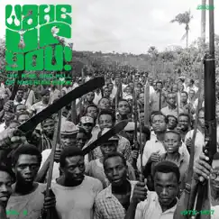 Wake Up You! The Rise and Fall of Nigerian Rock, Vol. 2 (1972-1977) by Various Artists album reviews, ratings, credits