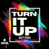 Turn It Up - Single album lyrics, reviews, download