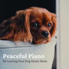 Peaceful Piano for Leaving Your Dog Home Alone by Dog Relaxation album reviews, ratings, credits