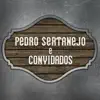 Pedro Sertanejo e Convidados album lyrics, reviews, download