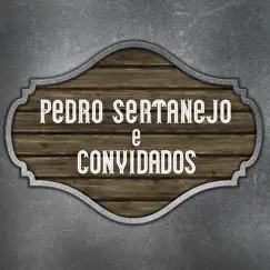 Pedro Sertanejo e Convidados by Pedro Sertanejo, Zé Nilton, Castanheiro & Mestiça E Zulmara album reviews, ratings, credits