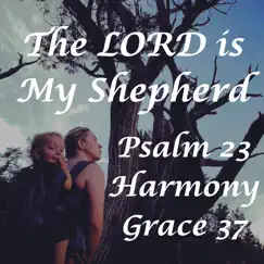 The Lord Is My Shepherd ~ Psalm 23 (Live) Song Lyrics