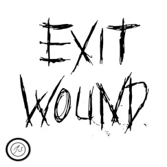 Exit Wound by Jordan Schwabe album reviews, ratings, credits