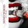 Moneyto Burn - Single album lyrics, reviews, download