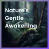 Nature's Gentle Awakening album lyrics, reviews, download