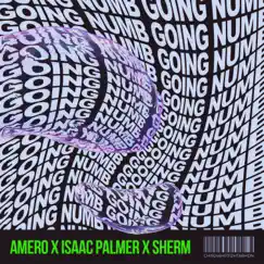 Going Numb - Single by Amero, Isaac Palmer & Sherm album reviews, ratings, credits