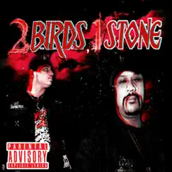 2 Birds, 1 Stone (feat. P Dragon) - Single by New Brand album reviews, ratings, credits
