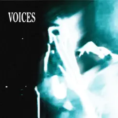 Voices - Single by PITKIID album reviews, ratings, credits