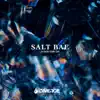 Salt Bae - Single album lyrics, reviews, download