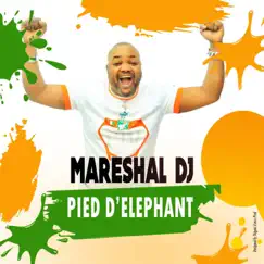 Pied d'éléphant - Single by Mareshal DJ album reviews, ratings, credits