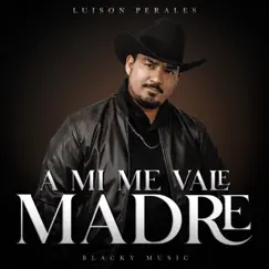 A Mi Me Vale Madre (En Vivo) - Single by Luison Perales album reviews, ratings, credits