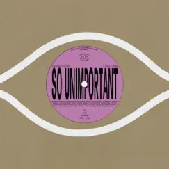 So Unimportant - Single by Ethan Gruska & Bon Iver album reviews, ratings, credits