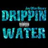Drippin Water - Single (feat. Gentle Beats) - Single album lyrics, reviews, download
