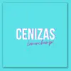 Cenizas - Single album lyrics, reviews, download