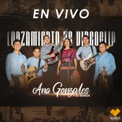 Éxitos 2021 (En Vivo) by Ana Gonzales album reviews, ratings, credits