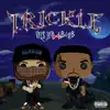 Trickle - Single album lyrics, reviews, download