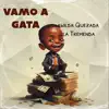 Vamo a Gata (Radio Edit) - Single album lyrics, reviews, download