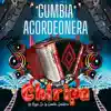 Cumbia Acordeonera - Single album lyrics, reviews, download