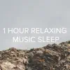 !!!" 1 Hour Relaxing Music Sleep "!!! album lyrics, reviews, download
