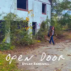 Open Door - Single by Dylan Zangwill album reviews, ratings, credits