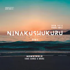 Ninakushukuru (feat. Shem, Pat & Andre Awili) Song Lyrics