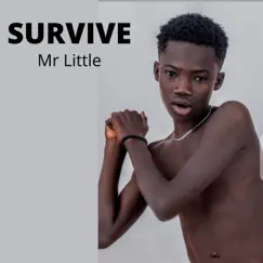 Survive - Single by Mr. Little album reviews, ratings, credits