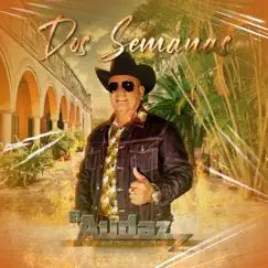 Dos Semanas - Single by El Audaz y Su Banda Sinay album reviews, ratings, credits